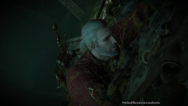 witcher3 2020-05-18 01-15-28-57.jpg