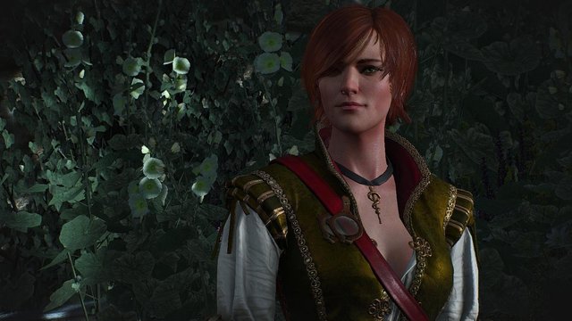 witcher3 2020-05-21 23-22-24-11.jpg