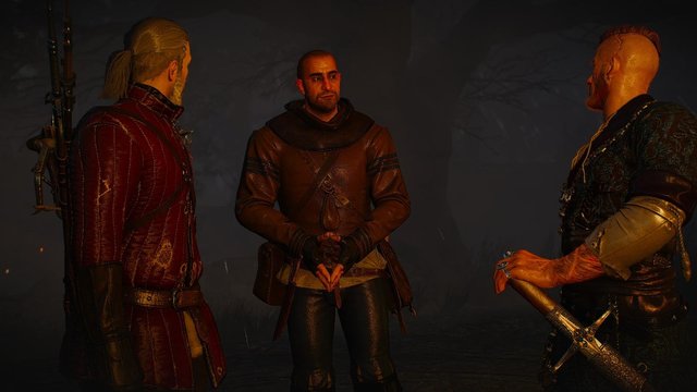 witcher3 2020-05-18 22-04-21-84.jpg