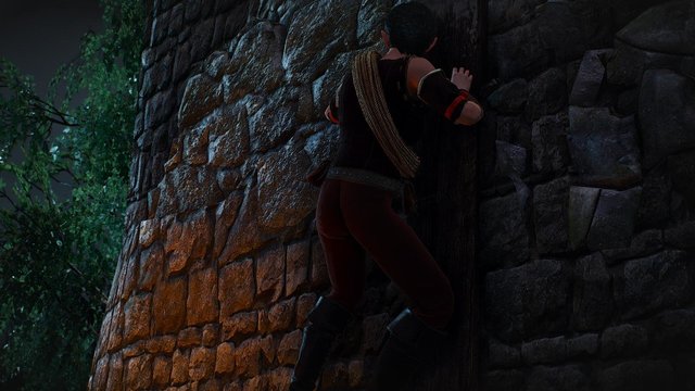 witcher3 2020-05-20 22-13-18-37.jpg