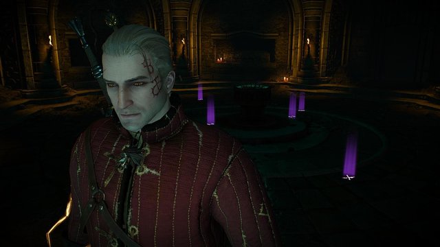 witcher3 2020-05-21 23-26-17-99.jpg