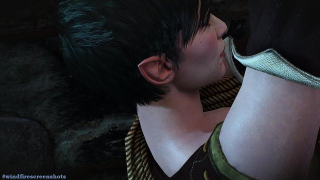 witcher3 2020-05-20 22-13-31-32.jpg