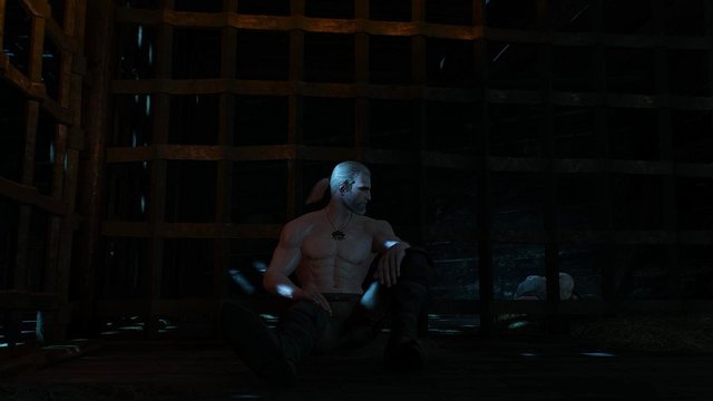 witcher3 2020-05-18 01-20-33-02.jpg