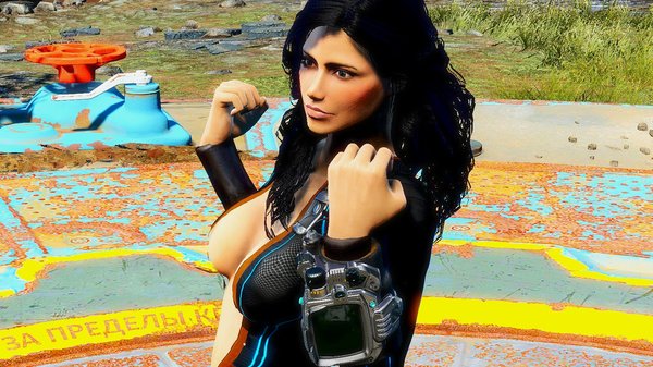 Мышцы, вроде, в тонусе.. ;) FALLOUT-4 (Сборка 6.1)