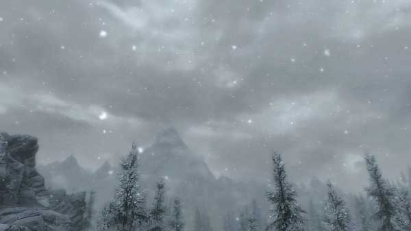 TESV 2020-05-10 18-01-24-99.jpg