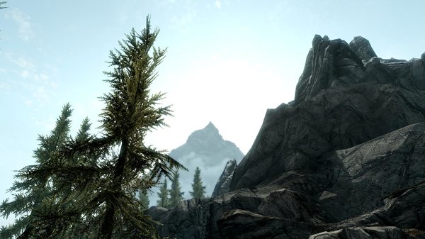 TESV 2020-05-29 18-16-03-51.jpg