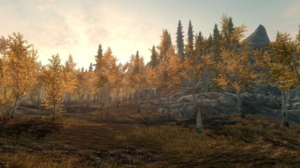 TESV 2020-05-22 15-17-02-26.jpg