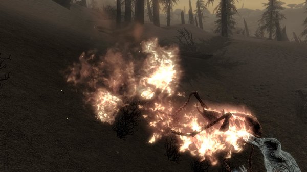 TESV 2020-05-17 17-18-40-49.jpg