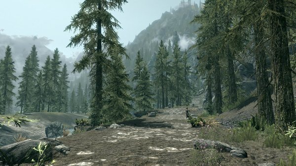 TESV 2020-05-25 17-39-03-07.jpg