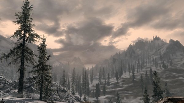 TESV 2020-05-15 18-36-01-50.jpg