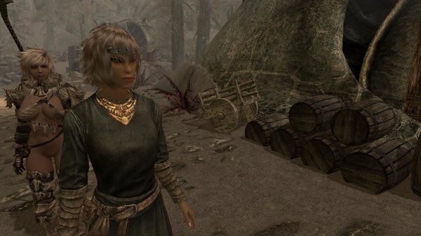 TESV 2020-05-11 16-42-44-03.jpg