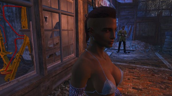 Работница соц-обслуживания. Fallout-4 (сборка 6.0)