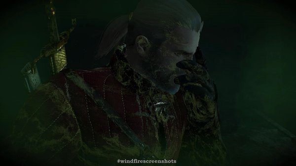 Не только вино и сиськи! ВЕДЬМАК III (сборка Торна)