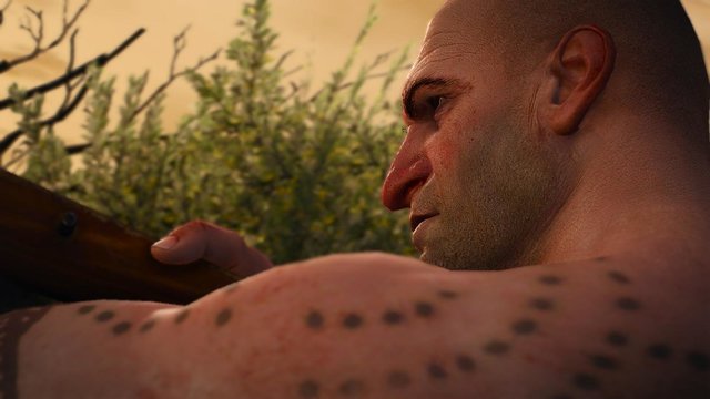 witcher3 2020-06-04 23-49-46-55.jpg