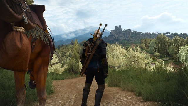 witcher3 2020-06-04 00-53-57-23.jpg