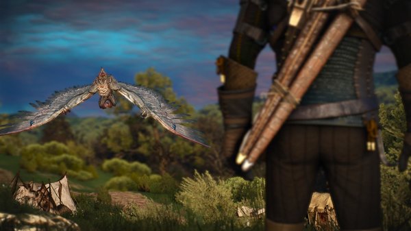 Серебрянный Архигрифон. ВЕДЬМАК III (сборка Торна)