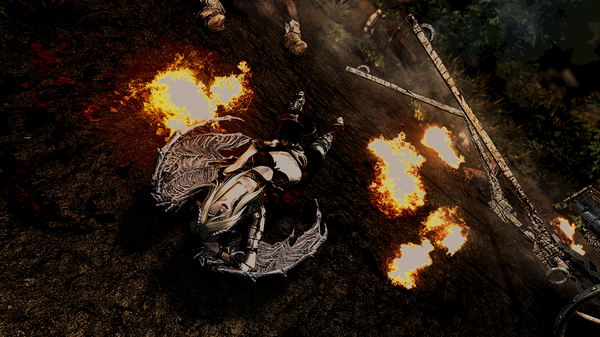 The Elder Scrolls V  Skyrim Special Edition Screenshot 2020.05.21 - 19.06.38.15.png