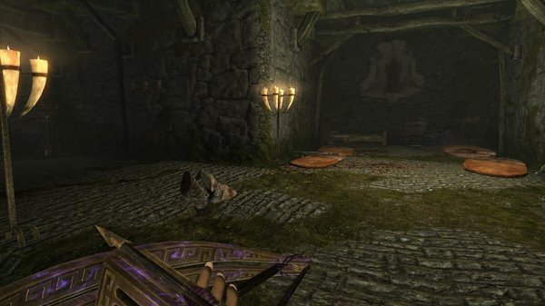 TESV 2020-06-04 17-19-23-18.jpg