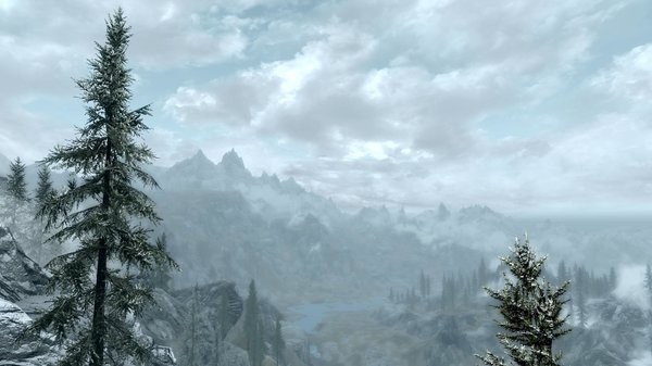 TESV 2020-06-01 17-47-37-07.jpg