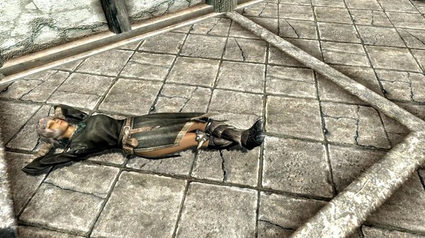 Skyrim LE. Элрин