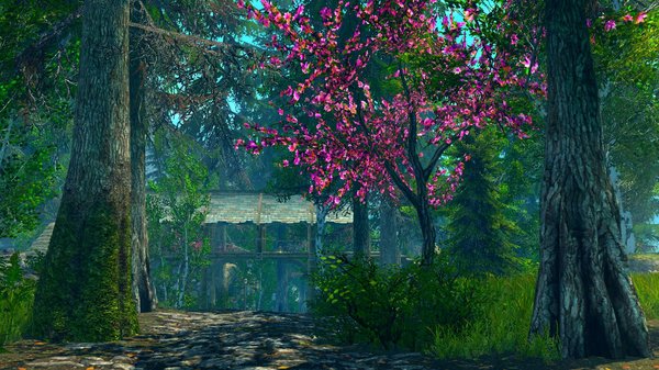 Камень Шора.. SkyrimSE (сборка 6.0)