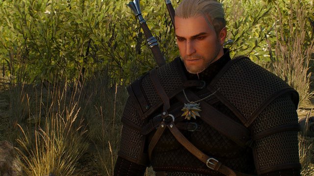 witcher3 2020-06-07 01-22-39-03.jpg