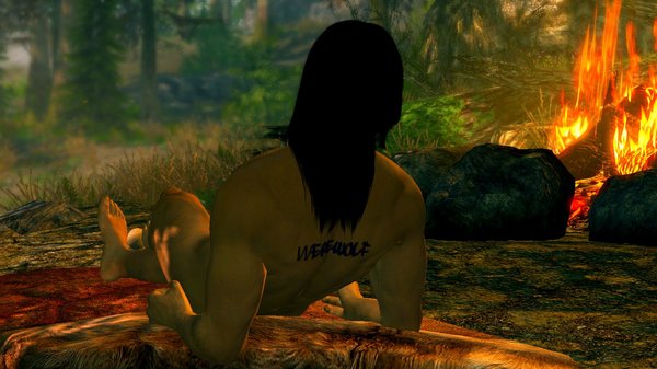 Эйран у костра.. SkyrimSE (сборка 6.0)