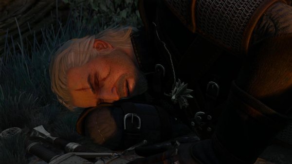 "Солдат спит - служба идёт!" ;) Ведьмак III (сборка Торна)