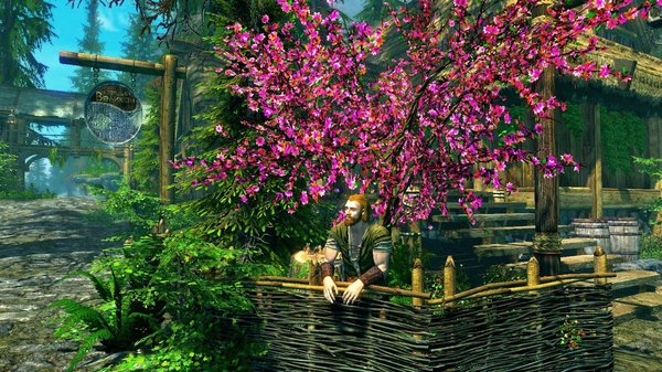 В РИвервуде днем.. SkyrimSE (сборка 6.0)