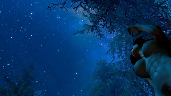 Ночное небо глазами Эллари.. SkyrimSE (сборка 6.0)