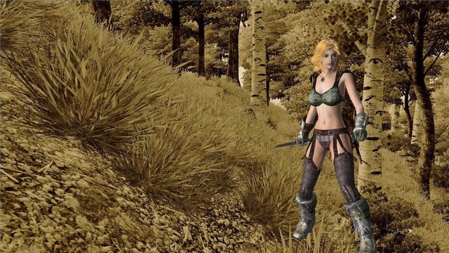 Oblivion 2020-09-19 20-36-36-11.jpg