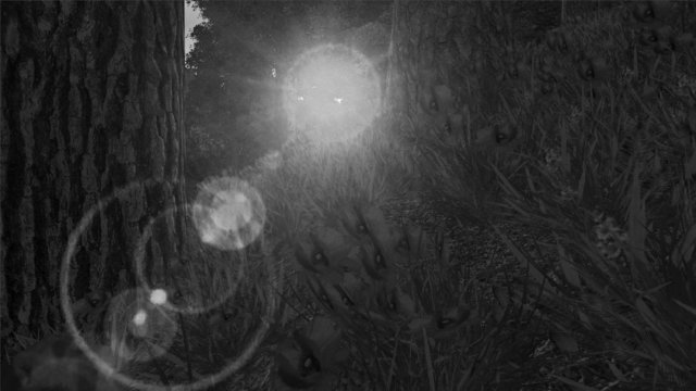 Oblivion 2020-09-28 00-32-46-01.jpg