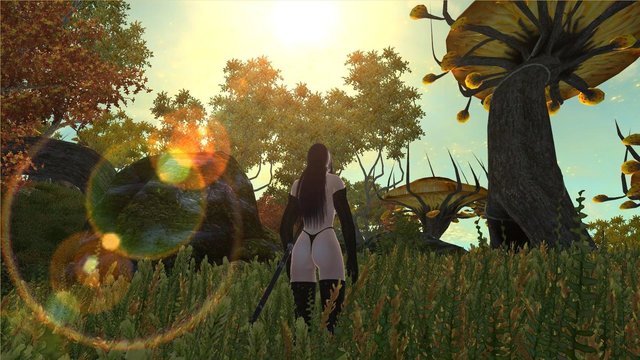 Oblivion 2020-09-29 20-12-49-32.jpg