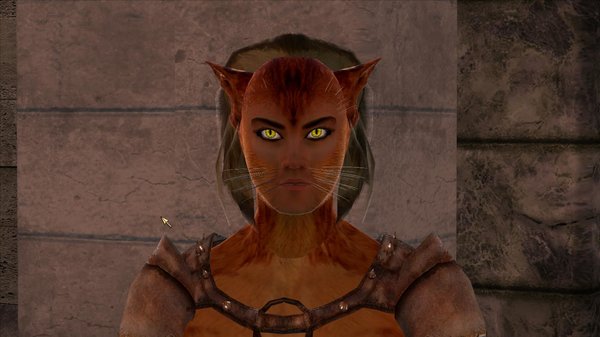 Каджиты - очеловечились, как и другие зверорасы!