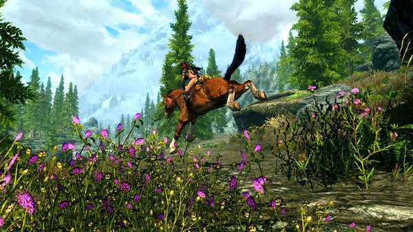 Ух! Скайримский экстрим )) SkyrimSE (сборка 6.0)