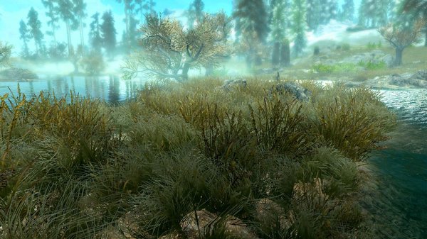 На болотах.. SkyrimSE (сборка 6.0)