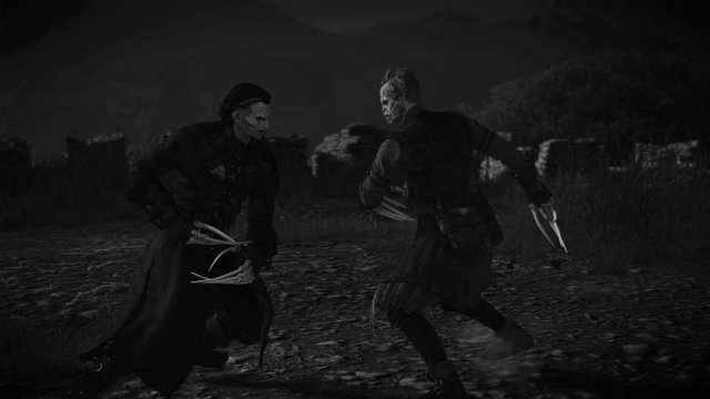 witcher3 2020-06-21 21-20-11-70.jpg