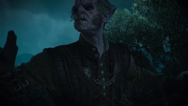 witcher3 2020-06-21 21-20-00-35.jpg