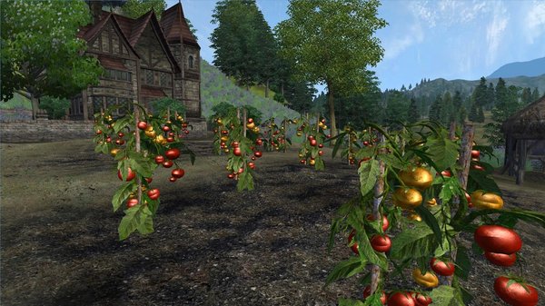 Помидоры на ферме.. OBLIVION (Сборка 4.0)