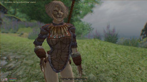 Кошечка-рабыня (днём)