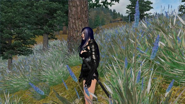 Селена в странствиях.. OBLIVION (Сборка 4.0)