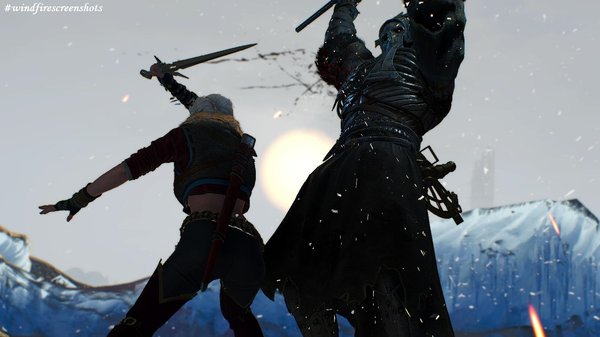 В пылу боя.. Ведьмак III (сборка Торна)