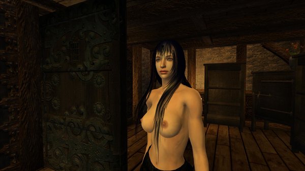 Вернулась домой из похода.. OBLIVION (Сборка 4.0)