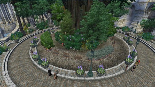 Дэндрарий в Имперском городе..