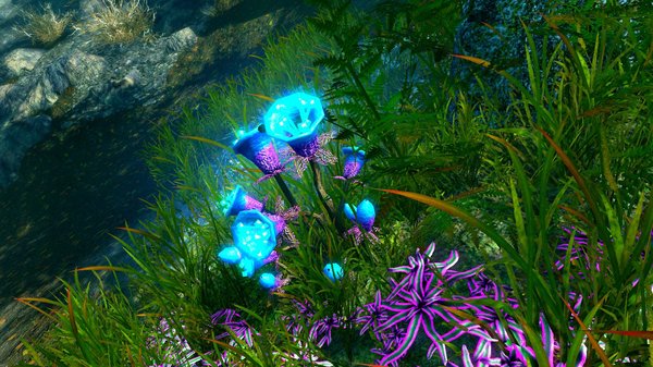 Цветуечек.! )) SkyrimSE (сборка 6.0)