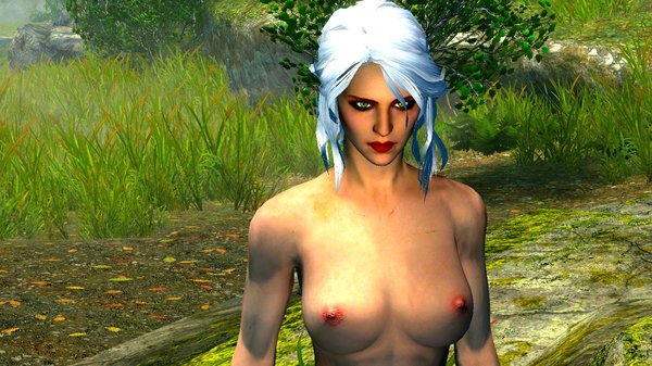 Цири гуляет топлес ) SkyrimSE (сборка 6.0)