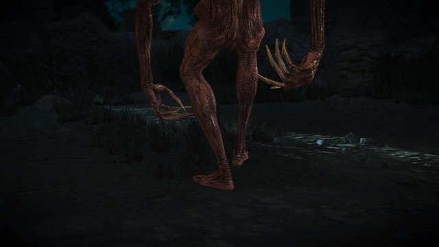 witcher3 2020-06-21 21-26-35-06.jpg