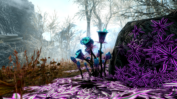 Забытая долина.png