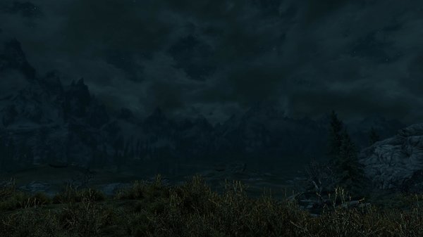 TESV 2020-11-28 17-47-35-61.jpg