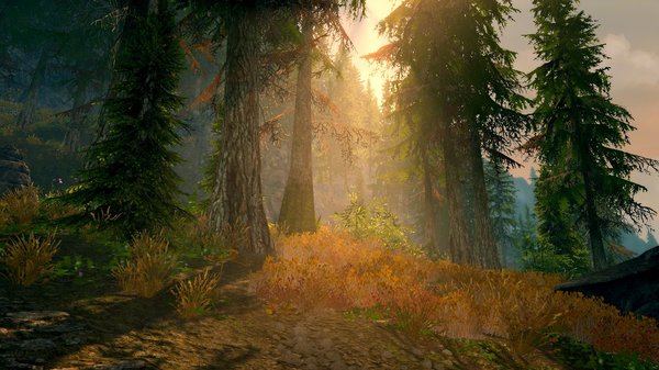 ПЕЙЗАЖ.. SkyrimSE (сборка 6.0)